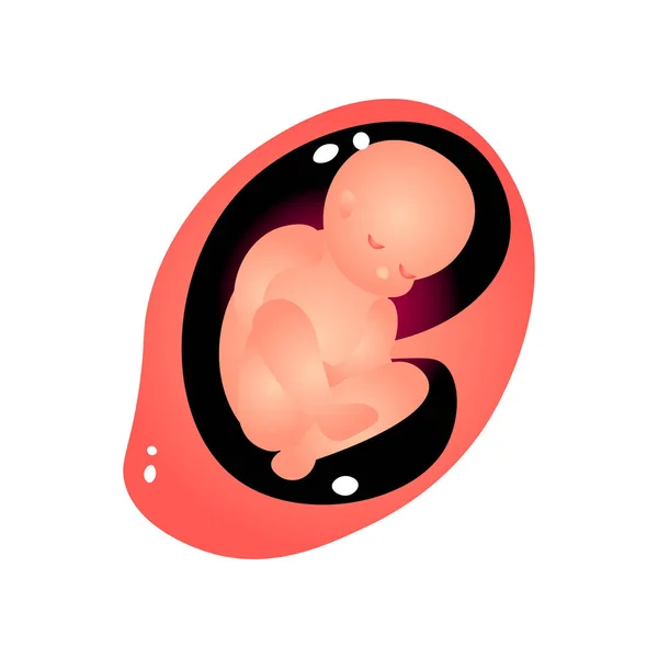 Período de embarazo de la mujer, bebé durmiendo en la barriga bien — Archivo Imágenes Vectoriales