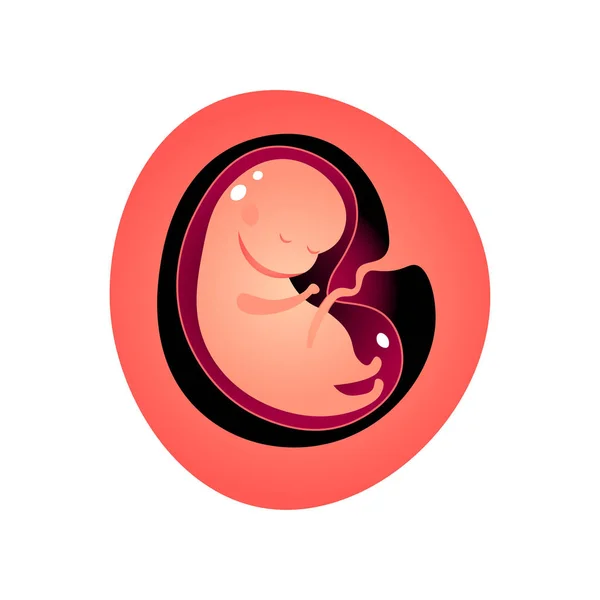 Woman pregnant period, growing of baby in mother tummy — 스톡 벡터