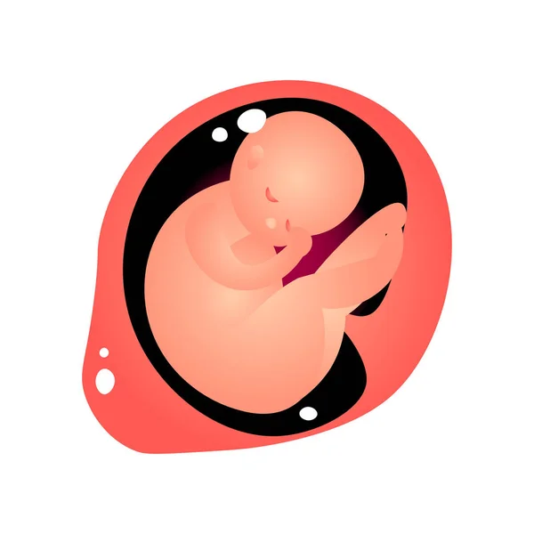 Bebê bonito no interior da barriga mãe pronta para o nascimento — Vetor de Stock