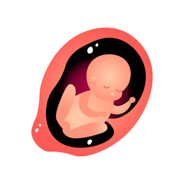 Anne karnında bebek yemek, kadın gebelik dönemi — Stok Vektör