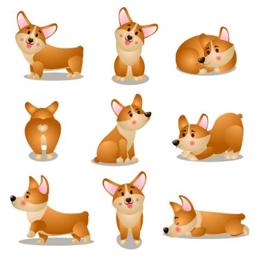 Farklı günlük durumlarda corgi köpek karakteri seti
