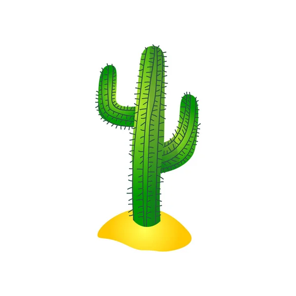 Stor öken grön kaktus, latinamerikansk växt — Stock vektor