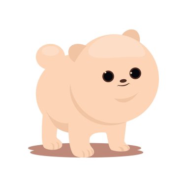 Sevimli köpek yavrusu çocuk spitz köpek yeni sahibi için hazır