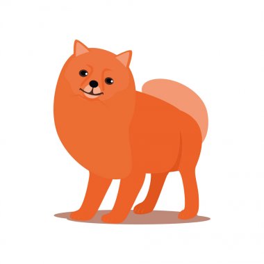 Komik kırmızı spitz köpek açık yürüyüş için hazır