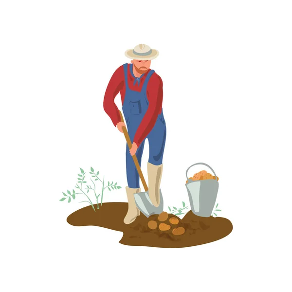 Фермер в шляпе и сапогах копает картошку в саду — стоковый вектор