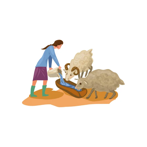穿着橡胶靴的农妇给羊浇水 — 图库矢量图片