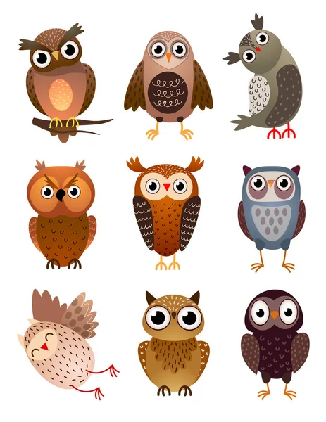 Set of cute different owl bird, with colorful feathers — Stock Vector
