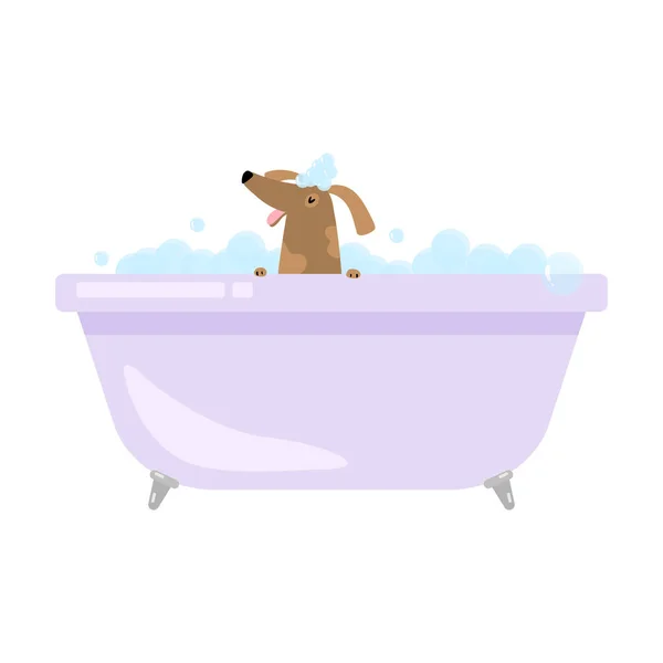 可爱有趣的家狗是在浴缸洗澡 — 图库矢量图片