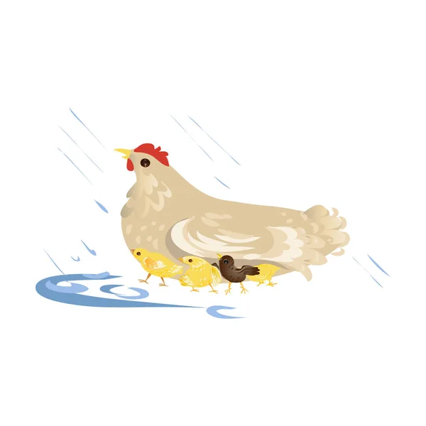 Schattige boerderij moeder kip zorgen over kinderen — Stockvector