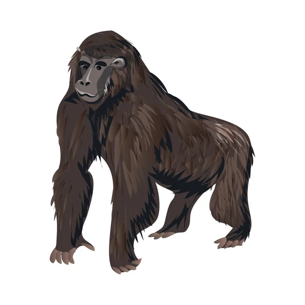 Macaco gorila preto bonito, animal da selva mamífero — Vetor de Stock