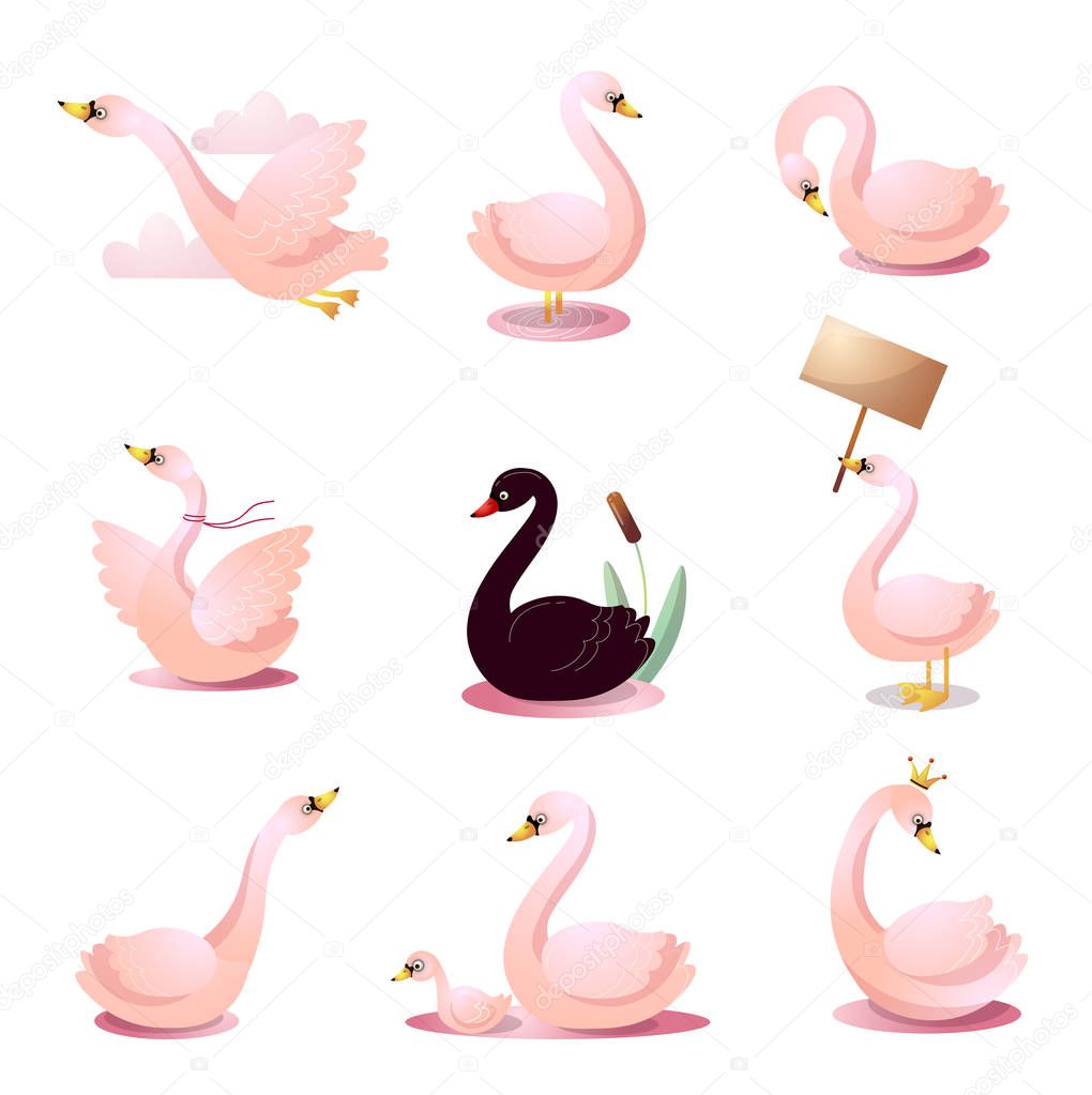 Cute cartoon set of swans in various poses. Design for the logo. print, party decoration, t-shirt, illustration, emblem or sticker Colorful raster isolated icons set