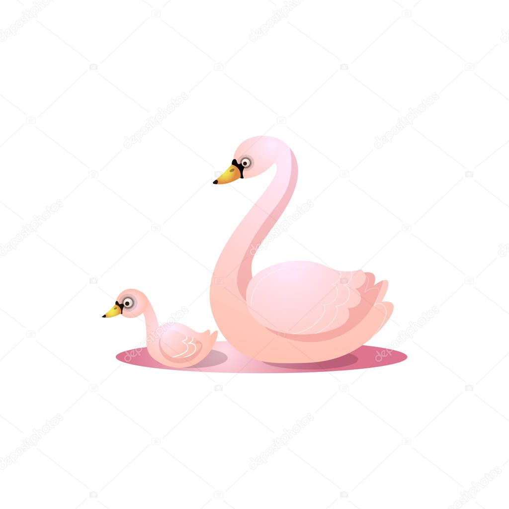 Cute pink swan mother swimming with her child in the pond. on a white background. Design for the logo. print, party decoration, t-shirt print, kids wear fashion design, emblem or sticker, etc