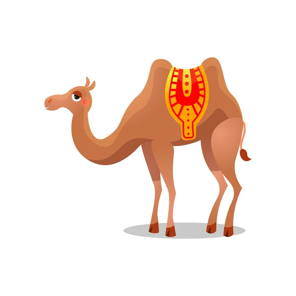 Camello bactriano con silla de montar. Ilustración de trama en estilo plano de dibujos animados sobre fondo blanco . — Archivo Imágenes Vectoriales