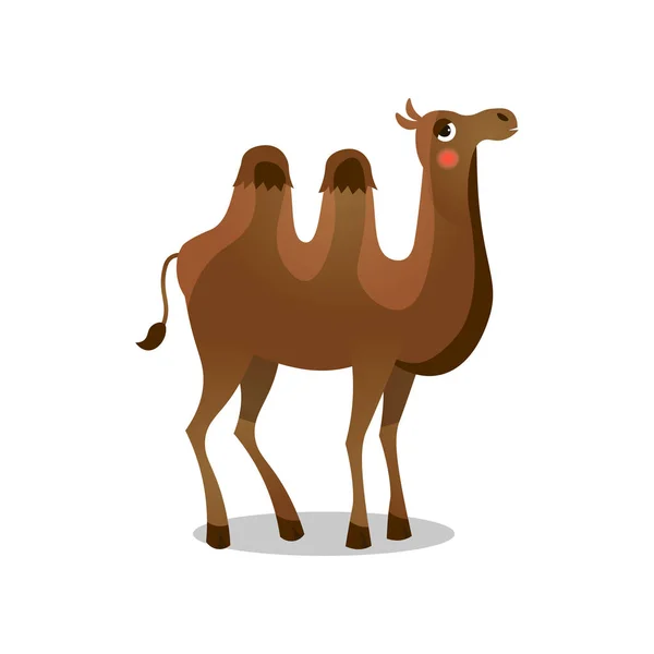 Bactrian camel. Raster illustration in flat cartoon style on white background. — Stock Vector