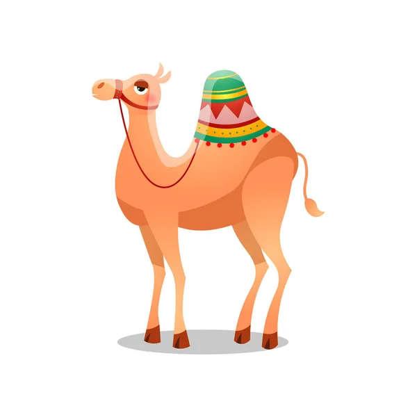 Dromedary kamel med en sadel. Raster illustration i platt tecknad stil på vit bakgrund. — Stock vektor