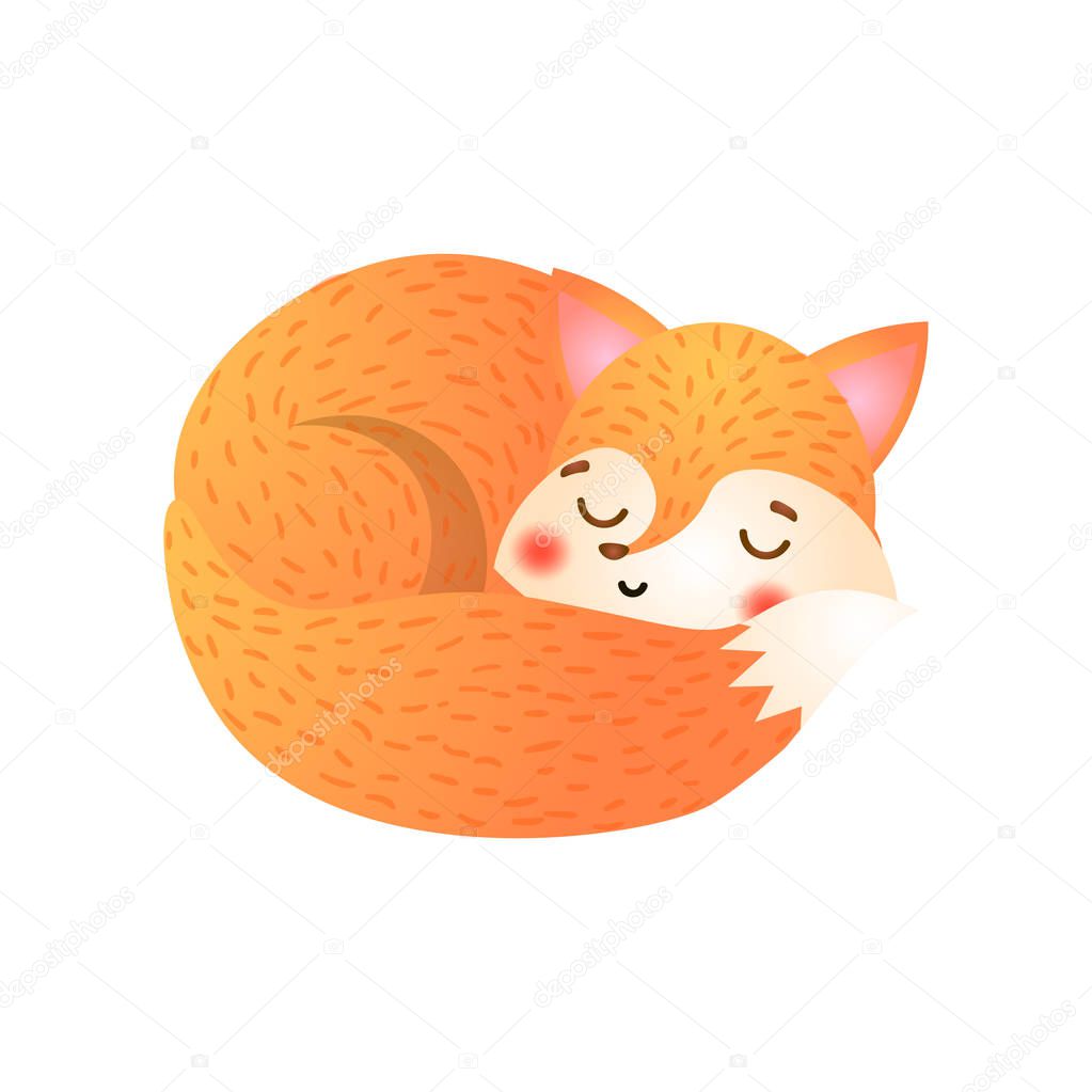 Cute fox sleeps. Raster illustration in flat cartoon style on white background