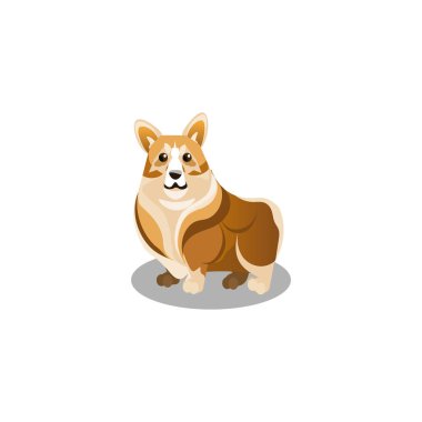 Corgi köpeği. Düz karikatür tarzında Raster illüstrasyon