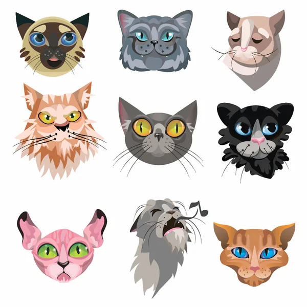 Ensemble de différents chats domestiques visages illustration vectorielle — Image vectorielle