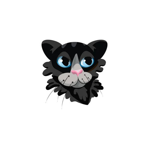 Black fluffy cats face with blue eyes vector illustration — Stock Vector