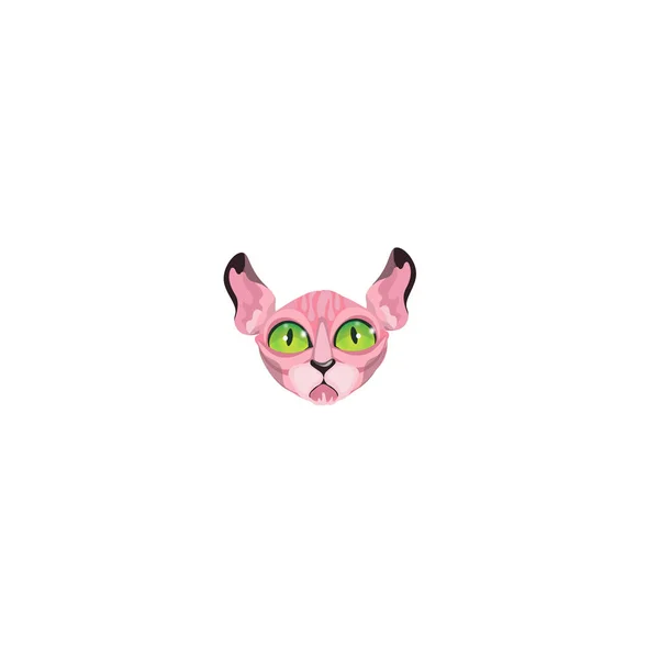 Бесшерстный розовый сфинкс кошки лицо с зелеными глазами векторной иллюстрацией — стоковый вектор