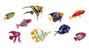 Mercan resifi balığı seti. Düz çizgi film tarzında vektör illüstrasyonu