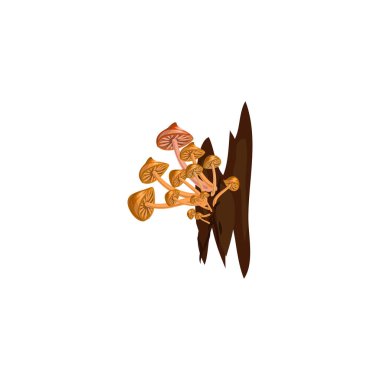 Bal mantarı vektör çizimi düz çizgi film tarzında