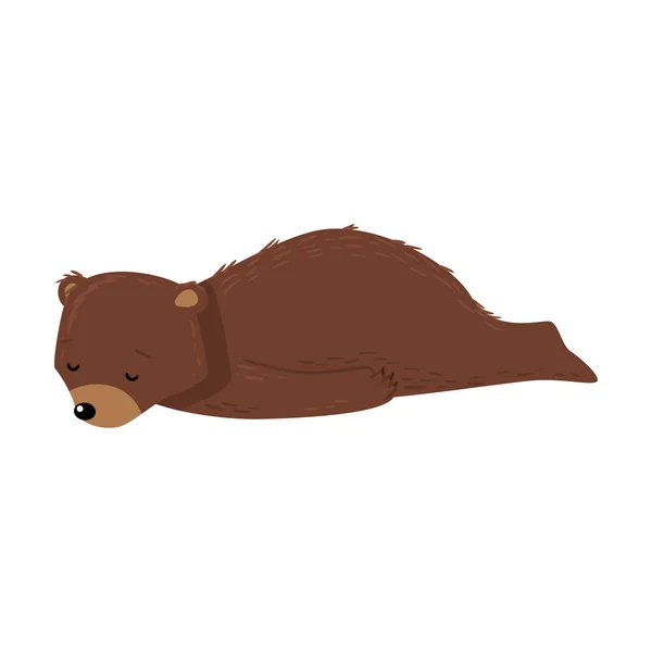 Oso de peluche marrón durmiendo en la ilustración del vector terrestre — Vector de stock