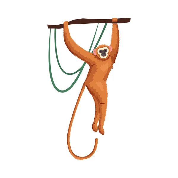 Desenho De Macaco Gibão De Mão Branca Bonito Sentado PNG , Animal