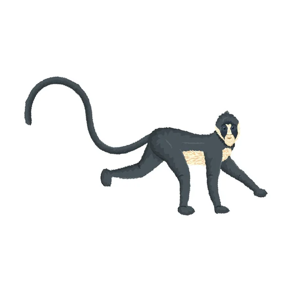 Милая тропическая белогрудая обезьяна. Векторная иллюстрация на белом фоне — стоковый вектор