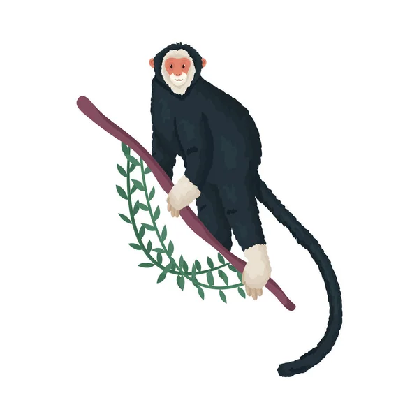 Aranyos trópusi fekete majom fehér arccal az ágon. Vektor illusztráció elszigetelt fehér háttér — Stock Vector