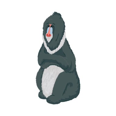 Şirin tropikal gri mandrill babun maymunu. Vektör illüstrasyonu beyaz arkaplanda izole edildi