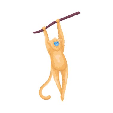 Dala asılı şirin tropikal sarı maymun. Vektör illüstrasyonu beyaz arkaplanda izole edildi