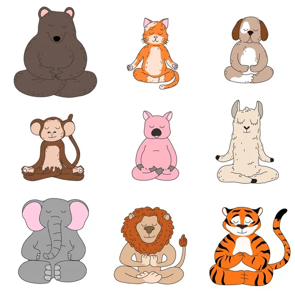 Nilüfer çiçeğinde oturup meditasyon yapan sevimli komik hayvanlar.