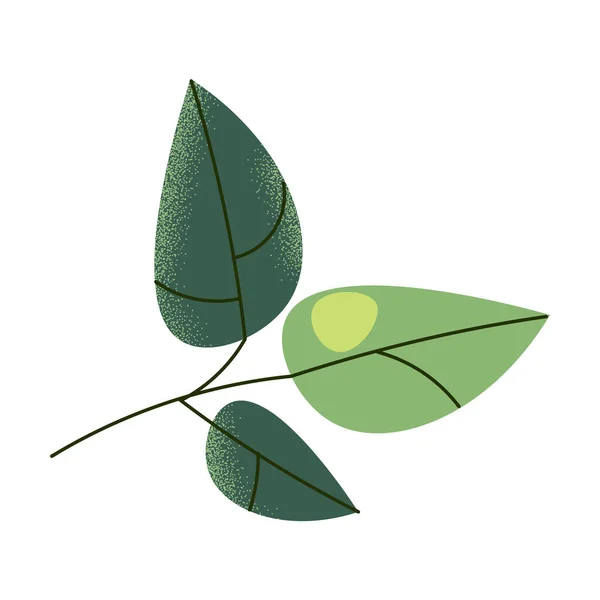 Hojas de té matcha verde para la ilustración de vectores de cocina — Vector de stock