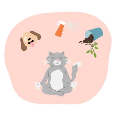 Kedi konsantre olmaya çalışıyor ve köpek, sprey ve çiçekleri düşünmemeye çalışıyor.