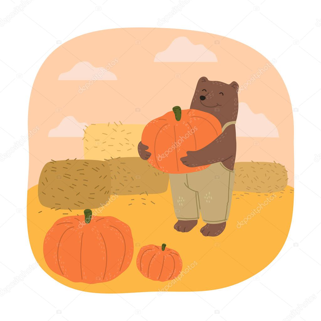 Brown teddy bear farmer holding ripe pumpkin during harvesting