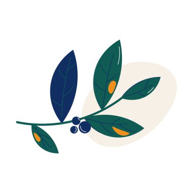 Mavi orman böğürtlen vektör illüstrasyonlu sonbahar yeşil dalının geleneksel sembolü