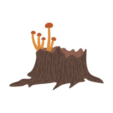 Kahverengi ballı mantarlar sonbahar mevsiminde ağaçta yetişir.