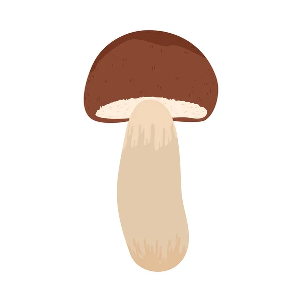 가을에 숲에서 자라는 깨끗 한 포치니 버섯 — 스톡 벡터