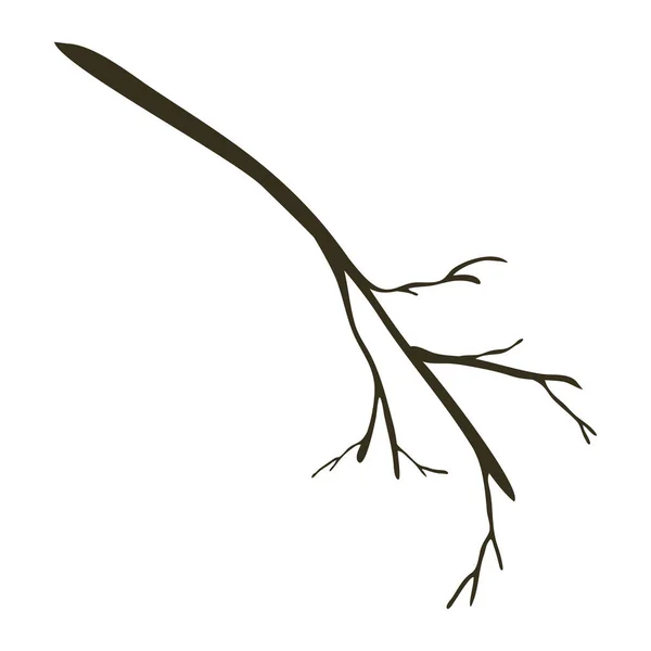 Silhouette of dry autumn seasonal elegant branch leaf — Stock Vector