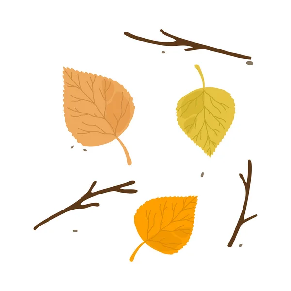 Barevný osika padl podzimní sezónní list z vektorové ilustrace stromu — Stockový vektor