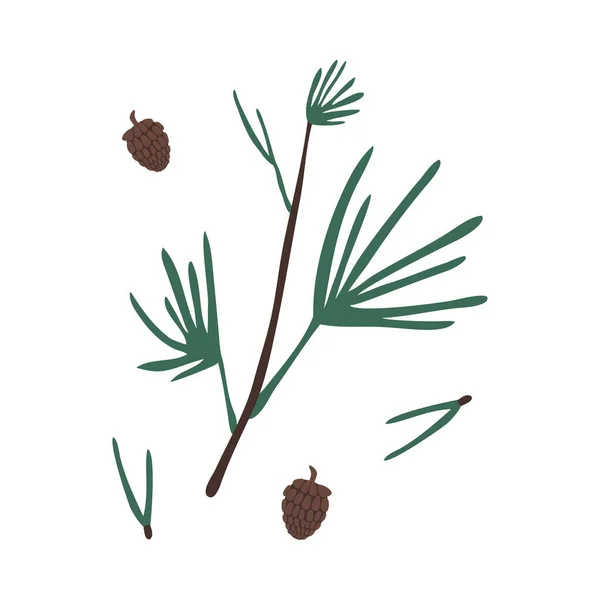 Evergreen autumn pine branch and spones from tree vector illustration — 스톡 벡터