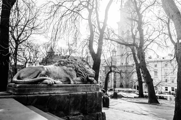 Skulptur Sovande Lejon Lviv — Stockfoto