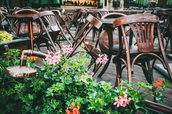 Diana Çeşmesi Lviv açık café