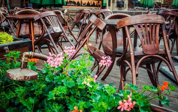 Café Aire Libre Cerca Fuente Diana Lviv — Foto de Stock