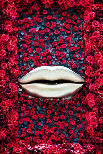 バラの背景に銀の唇 — ストック写真