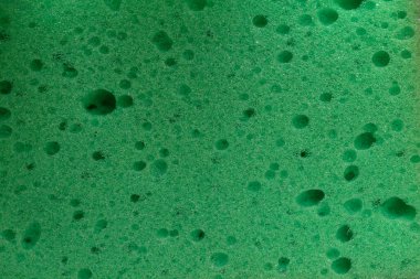 Yeşil sünger deseni, arkaplan, doku