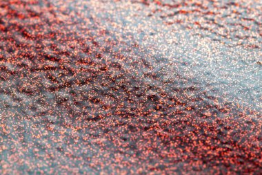 Kırmızı parıltı dokusu soyut arkaplan