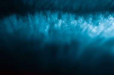 Mavi yumuşak kürklü kumaşın yakın çekimi.