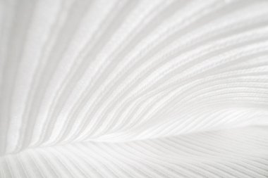 Soyut Beyaz Kumaş Dokusu ve Katları